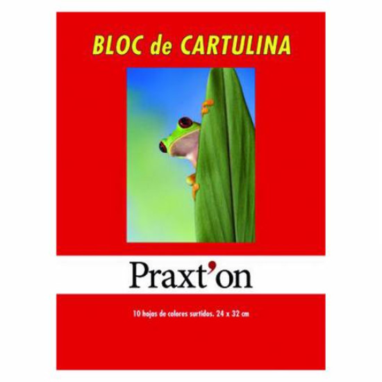 BLOC CARTULINAS 24X32 PRAXTON 10H P/25U