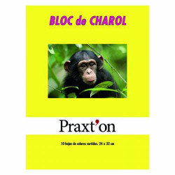 BLOC CHAROL A4 PRAXTON 10H P/25U