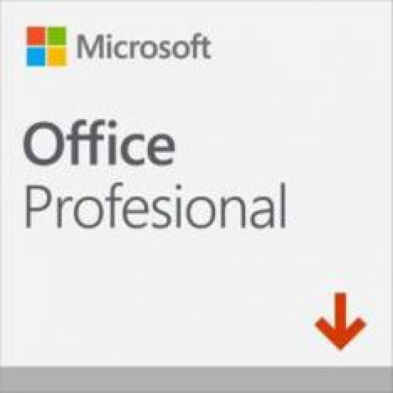 Office 2019 professional esd (descarga directa)