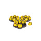 ROBOT TTS BEE - BOT CLASS BUNDLE 6 Robotica