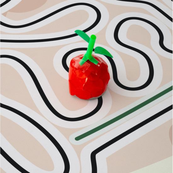 PACK APARATO DIGESTIVO TILK OZOBOT TAPETE Robotica
