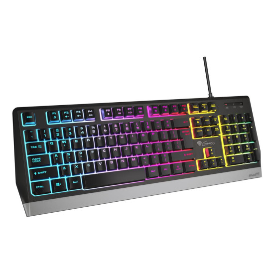 TECLADO GAMING GENESIS RHOD 300 RGB Teclados