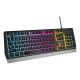 TECLADO GAMING GENESIS RHOD 300 RGB Teclados
