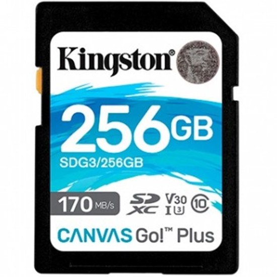 MEMORIA SDXC 256GB KINGSTON CANVAS GO Memorias secure digital (sd)