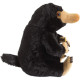 PELUCHE THE NOBLE COLLECTION ANIMALES FANTASTICOS Peluches y cojines PELUCHE THE NOBLE COLLECTION ANIMALES FANTASTICOS Peluches y cojines
