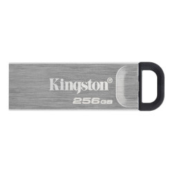 MEMORIA USB 3.2 KINGSTON 256GB DATATRAVELER