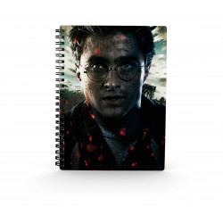 LIBRETA EFECTO 3D SD TOYS HARRY