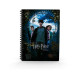 LIBRETA EFECTO 3D SD TOYS HARRY Libretas posters y bolígrafos LIBRETA EFECTO 3D SD TOYS HARRY Libretas posters y bolígrafos