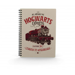 LIBRETA EFECTO 3D SD TOYS HARRY