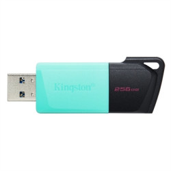 MEMORIA USB 3.2 KINGSTON 256GB DATATRAVELER