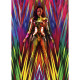 FIGURA TAMASHII NATIONS SH FIGUARTS DC Figuras FIGURA TAMASHII NATIONS SH FIGUARTS DC Figuras