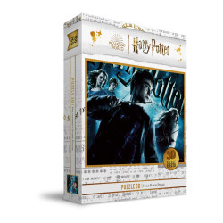 PUZLE 100 EFECTO 3D POSTER HARRY