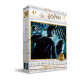PUZZLE 100 EFECTO 3D POSTER HARRY Puzzles