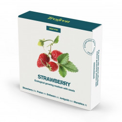 SEMILLAS FRESAS TREGREN CON POD CULTIVO