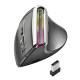 RATON VERTICAL NGS EVO KARMA INALAMBRICO Ratones RATON VERTICAL NGS EVO KARMA INALAMBRICO Ratones