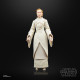 FIGURA HASBRO THE BLACK SERIES STAR Figuras