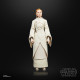 FIGURA HASBRO THE BLACK SERIES STAR Figuras