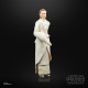 FIGURA HASBRO THE BLACK SERIES STAR Figuras