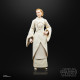 FIGURA HASBRO THE BLACK SERIES STAR Figuras