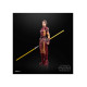 FIGURA HASBRO STAR WARS THE BLACK Figuras