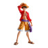 MONKEY D LUFFY RAID OF ONIGASHIMA