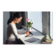 TECLADO MICROSOFT SURFACE TYPE COVER + Teclados TECLADO MICROSOFT SURFACE TYPE COVER + Teclados