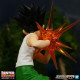 FIGURA BANPRESTO HUNTER X HUNTER VIBRATION Figuras FIGURA BANPRESTO HUNTER X HUNTER VIBRATION Figuras
