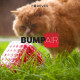 ALTAVOZ BLUETOOTH FOREVER BUMPAIR BS - 700 RED Altavoces ALTAVOZ BLUETOOTH FOREVER BUMPAIR BS - 700 RED Altavoces