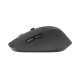 MOUSE RATON CONCEPTRONIC LORCAN02 BLUETOOH 1600DPI Ratones MOUSE RATON CONCEPTRONIC LORCAN02 BLUETOOH 1600DPI Ratones