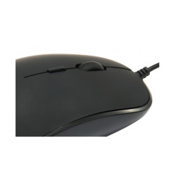 MOUSE RATON CONCEPTRONIC REGAS01B OPTICO USB