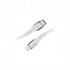 CABLE USB - C A LIGHTNING INTENSO 1