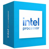 INTEL PENTIUM 300 DUAL CORE 3.9GHZ