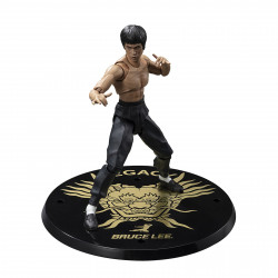 FIGURA TAMASHII NATIONS SH FIGUARTS ICONO
