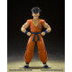 FIGURA TAMASHII NATIONS SH FIGUARTS DRAGON Figuras FIGURA TAMASHII NATIONS SH FIGUARTS DRAGON Figuras