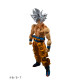 FIGURA TAMASHII NATIONS SH FIGUARTS DRAGON Figuras FIGURA TAMASHII NATIONS SH FIGUARTS DRAGON Figuras