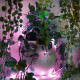 GUIRNALDA LUCES MUVIT IO WIFI DREAMCOLOR Lámparas GUIRNALDA LUCES MUVIT IO WIFI DREAMCOLOR Lámparas