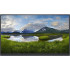 MONITOR DELL 22 PULGADAS P2222H FHD 60HZ