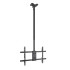 SOPORTE TECHO TOOQ LPCE1186TSLI - XL - B 43 PULGADAS - 86 PULGADAS CARGA