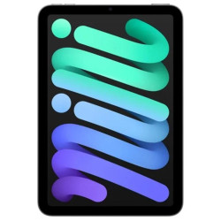 IPAD MINI 7TH GEN 256 GB