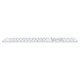 TECLADO APPLE MAGIC KEYBOARD INALAMBRICO TOUCH Teclados TECLADO APPLE MAGIC KEYBOARD INALAMBRICO TOUCH Teclados
