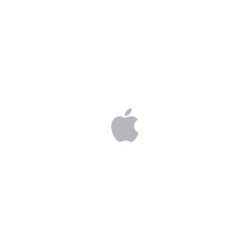 ORDENADOR APPLE MAC MINI SILVER M4