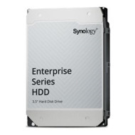 DISCO DURO INTERNO HDD SYNOLOGY HAS5310 - 20T