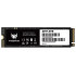 DISCO DURO INTERNO SSD ACER PREDATOR