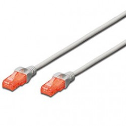CABLE RED EWENT LATIGUILLO UTP CAT6
