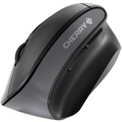 MOUSE RATON CHERRY INALAMBRICO MW 4500