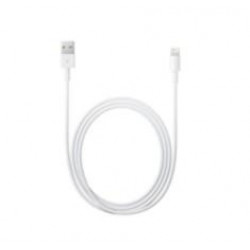 ADAPTADOR APPLE LIGHTNING MACHO A USB