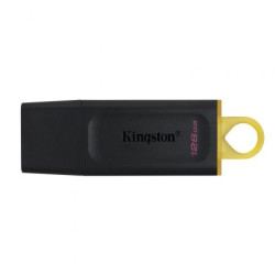 MEMORIA USB 3.2 KINGSTON 128 GB