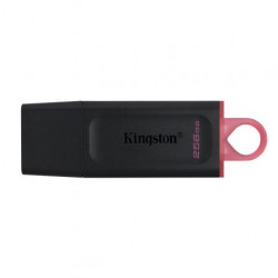 MEMORIA USB 3.2 KINGSTON 256 GB