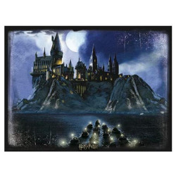 PUZZLE 3D LENTICULAR HARRY POTTER HOGWARTS