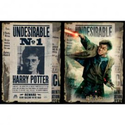 PUZZLE RASCAR HARRY POTTER CARTELES WANTED